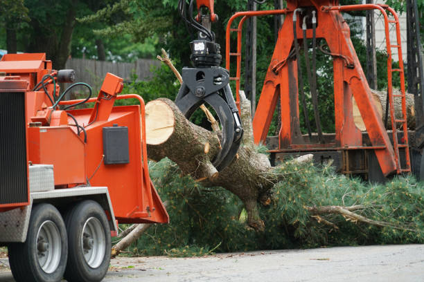 Mulching Services in North Westport, MA